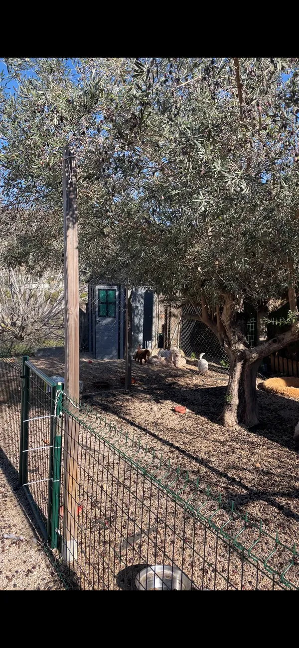 Instalaciones del criadero 4Patas en Dénia — zona interior