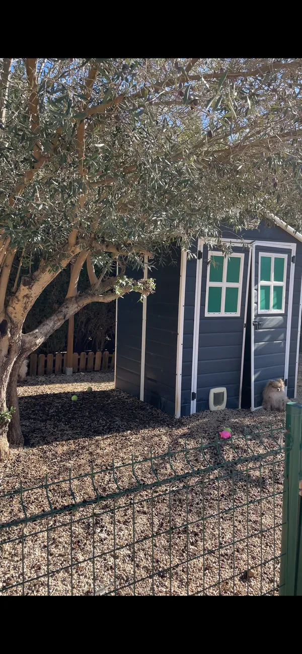 Criadero 4Patas en Dénia — área de descanso