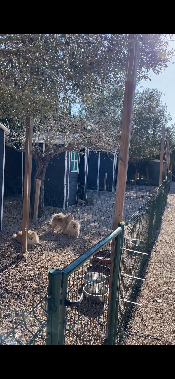 Criadero 4Patas en Dénia — zona de juego